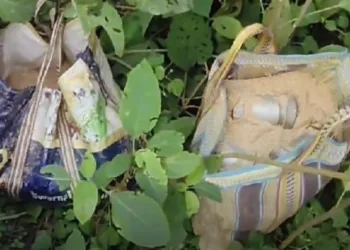 Massive crackdown in Murshidabad as 80 additional bombs found