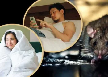 China’s Gen Z is abandoning grind culture, choosing rest and resistance over a system that no longer rewards their effort