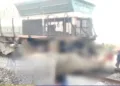 8 elephants including a calf killed in a train incident in Kampur area of Hojai district in Assam