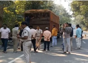 30 cows found dead inside truck in Odisha