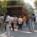 30 cows found dead inside truck in Odisha