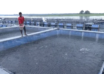 Pradhan Mantri Matsya Sampada Yojana transforms lives of farmers