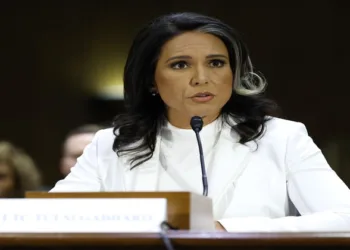 US National Intelligence Director Tulsi Gabbard(File Photo)