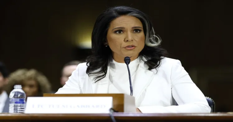 US National Intelligence Director Tulsi Gabbard(File Photo)