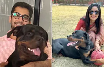 Jai Anant Dehadrai secures custody of Henry, the Rottweiler, after Saket District Court dismisses Mahua Moitra's application in their ongoing dispute