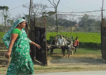India-Bangladesh border in the state of West Bengal