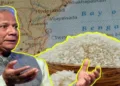 Traders warn that turning away from India would force Yunus's Bangladesh to rely on costlier rice from Pakistan, Vietnam and Thailand, pushing up domestic prices and straining its economy