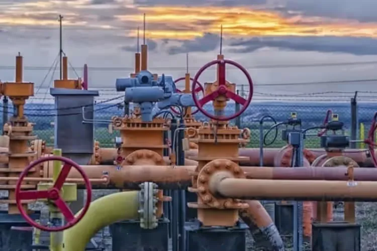 A representative image