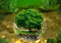 Reducing Environmental Pollution in India