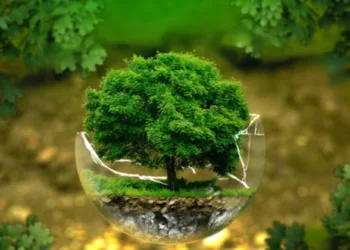 Reducing Environmental Pollution in India