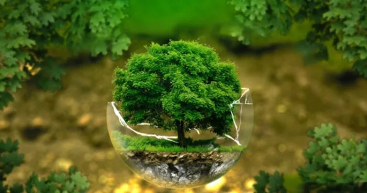 Reducing Environmental Pollution in India