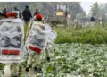 Bangladeshi Muslims who encroached forest land in Assam evicted