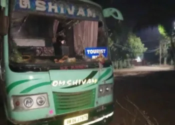 Tourist bus used for cattle smuggling