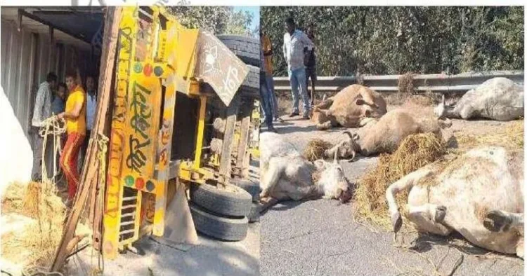 Overturned container near Bandadurga Temple after a fatal cattle-smuggling accident in Angul district