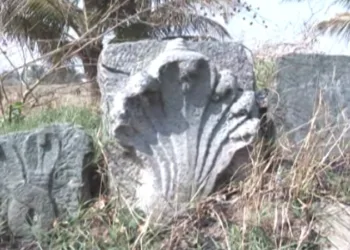 A rare seven-hooded Naga stone idol unearthed during ongoing archaeological excavations at Lakkundi in Gadag district, shedding light on the region’s Vijayanagara-era heritage
