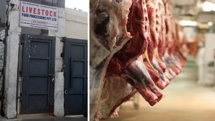 Beef seizure linked to Bhopal Municipal Corporation sparks controversy