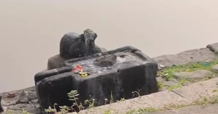 Ancient Shiva Lingam vandalised at historic Bhimeswara Mandir