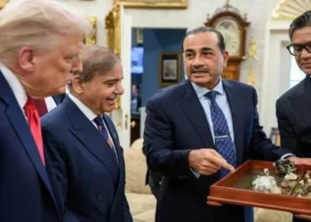 US President Donald Trump during a meeting with Pakistan Prime Minister Shehbaz Sharif and Field Marshal Asim Munir at the White House, in Washington, DC, USA
