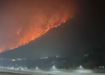 Forest Fire in Walong
