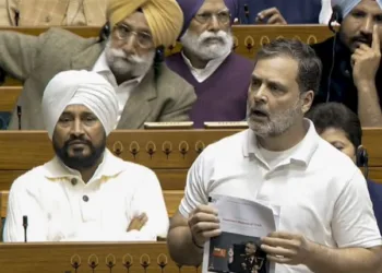 Leader of Opposition in the Lok Sabha Rahul Gandhi speaks in the House during the Budget session of Parliament (Image: PTI)