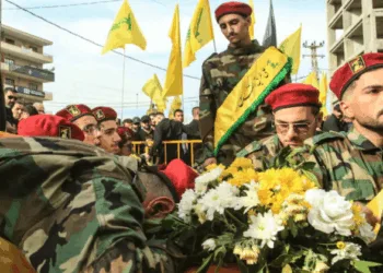Hezbollah Militants (File Image)