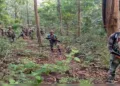Armed security personnel