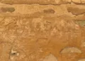 2,000 year-old Tamil-Brahmi inscriptions found in Egypt's royal tombs