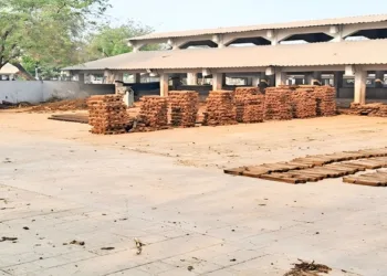 Cow-dung sticks to replace wood this Holikadahan