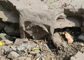 Yadava-era stone pillar remains found in Hinganghat