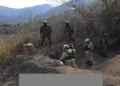 Security forces undertake search operation
