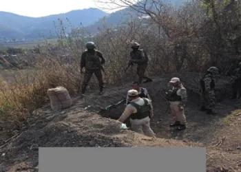 Security forces undertake search operation