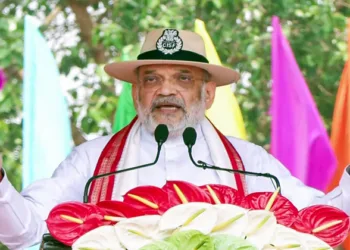 Union Home Minister Amit Shah addresses the 57th Raising Day of Central Industrial Security Force (CISF), (ANI Video Grab)