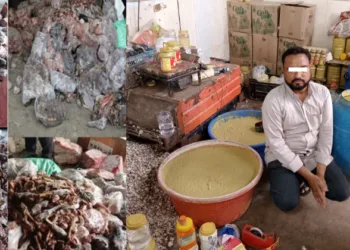 Hyderabad polce seized 300 kg rotten meat, 1,090 kg chemically mixed ginger-garlic paste