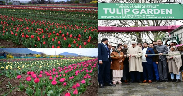 CM Omar Abdullah inaugurates Asia’s largest Tulip Garden