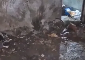 Site of the blast in Jorhat (Video grab from X)