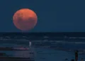 A stunning view of the Moon turning a deep crimson red during a total lunar eclipse. (Photo: AP)