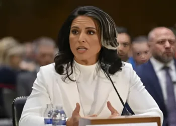 US Director of National Intelligence Tulsi Gabbard