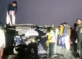 Cattle being rescued