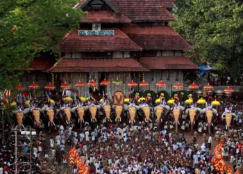 Thrissur Pooram (File Photo)