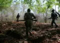The Modi government wiped out impossible left-wing Maoism, but urban maoists persist