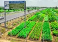 Representative Image for Arogya Van
