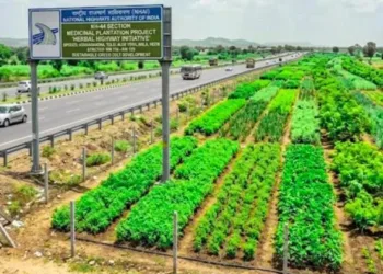 Representative Image for Arogya Van