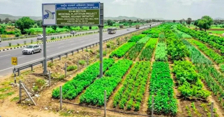 Representative Image for Arogya Van