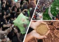 Rising hunger and fuel costs collide in Pakistan as the Global Report on Food Crises 2026 flags a deepening crisis and warns of worsening hardship.