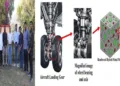 NIT Rourkela develops high-durability material for aircraft landing gear