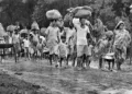 People leaving Bangladesh in 1971 unable to bear the atrocities of Pakistan