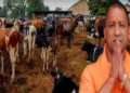 Uttar Pradesh Chief Minister Yogi Adityanath