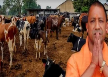 Uttar Pradesh Chief Minister Yogi Adityanath