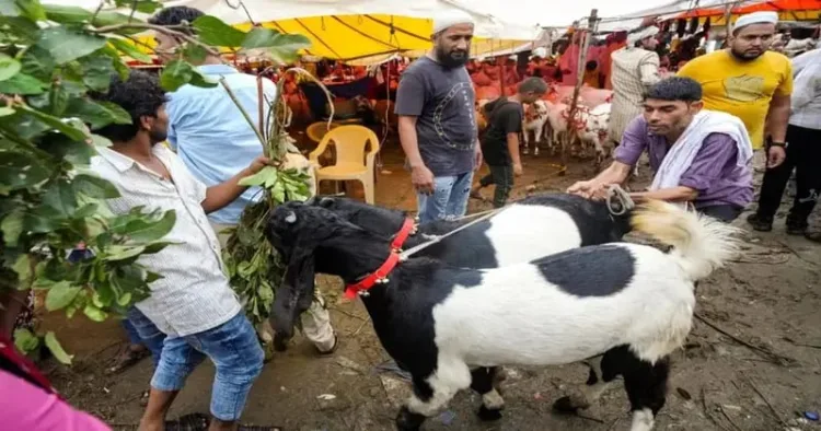 Delhi Govt issues strict guidelines against illegal animal sacrifice ahead of Bakri Eid