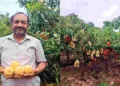 Karnataka-based Ayurveda doctor Dr Sameer Nayik has emerged as a model farmer by adopting Israel’s high-density mango farming technique in Belagavi